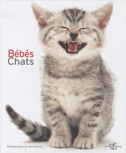 Bébés chats 9788861123267