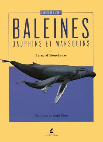 Baleines, dauphins et marsouins 9782844590190