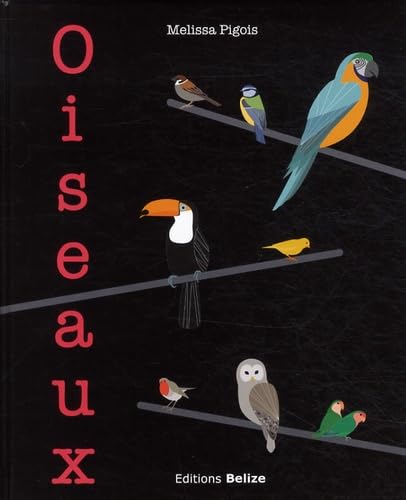 Oiseaux 9782917289853