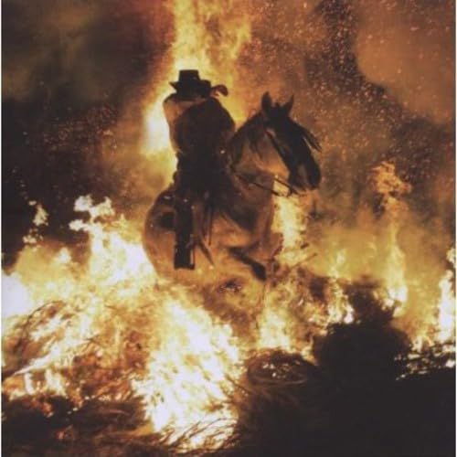 Birds in the Storm 3596972283024