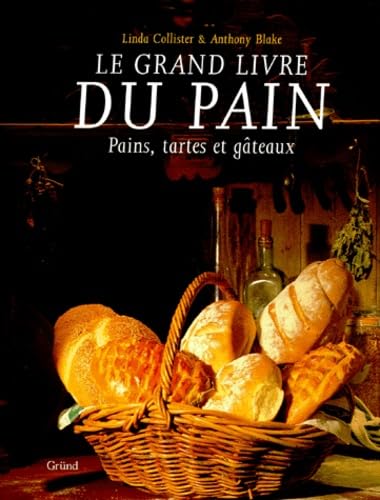 Le grand livre du pain: Pains, tartes et gâteaux 9782700020243