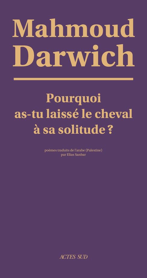 Pourquoi as-tu laissé le cheval à sa solitude ? 9782742706723