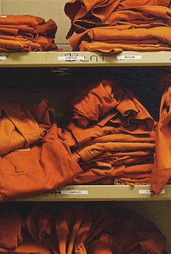 Prison Valley : Le livre du webdocumentaire événement 9782361040109