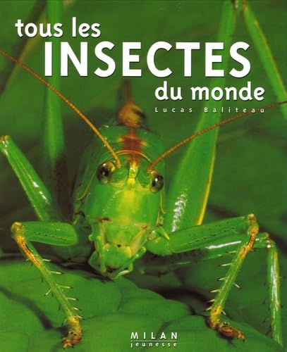 Tous les insectes du monde 9782745915368
