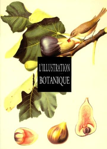 Illustration botanique 9782745600271