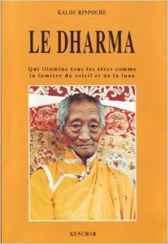 Camille Cools en zijn Gazette van Detroit: beroemde Vlamingen in Noord-Amerika 9789066610200