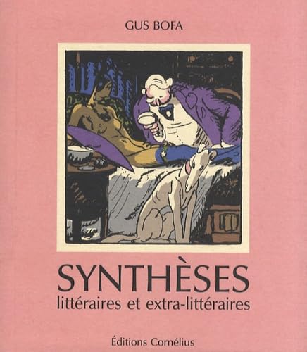 Synthèses littéraires et extra-littéraires 9782909990941