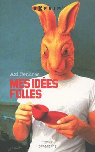 Mes idées folles 9782848653389