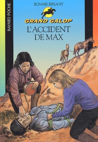 L'Accident de Max 9782227738607
