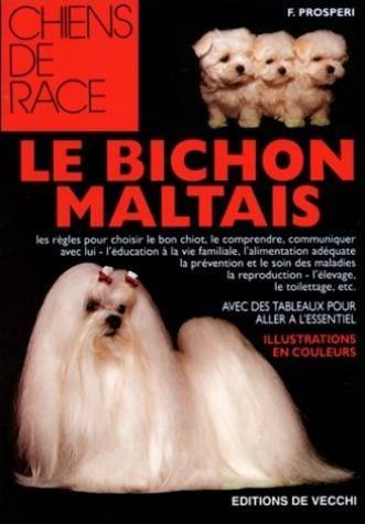 Le bichon maltais 9782732821832