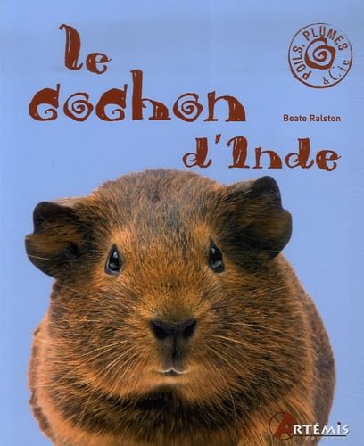 Le cochon d'Inde 9782844165510