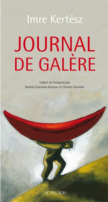 Journal de galère 9782742792382