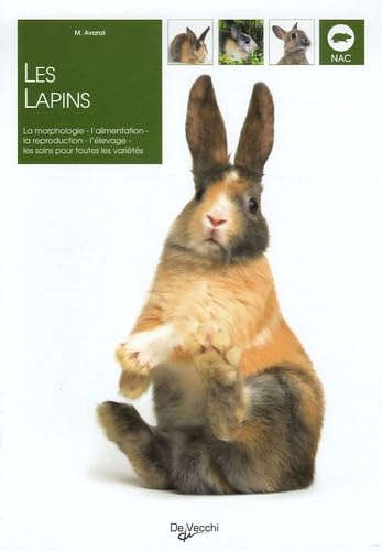 Les lapins 9782732884523