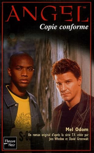 Angel Tome 15 : Copie Conforme 9782265074842