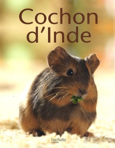 Cochon d'Inde 9782016211663