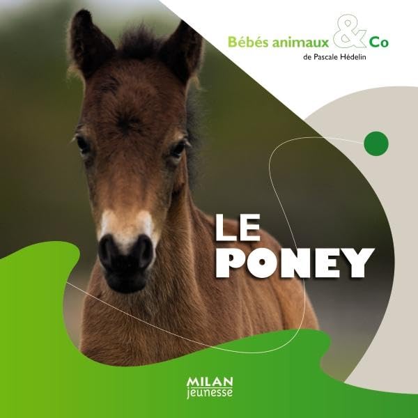 Le poney 9782745938800