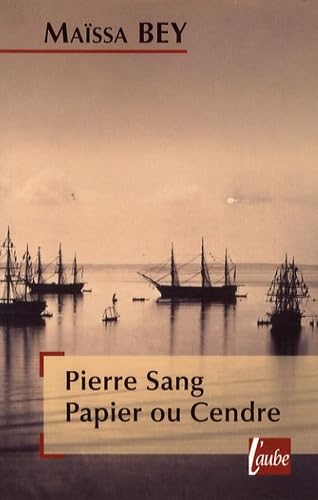 Pierre Sang Papier ou Cendre 9782752605672