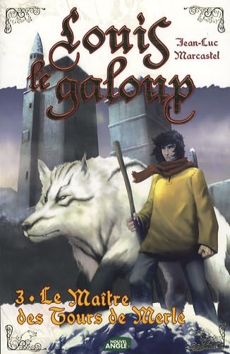 Le Maître des Tours de Merle 9782354500986