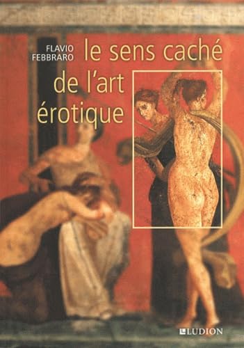 Le sens caché de l'art érotique 9789461300072
