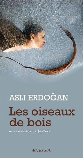 Les oiseaux de bois 9782742787586