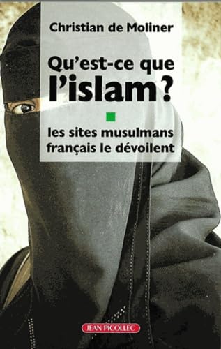Qu'est-ce que l'Islam ?: Les sites mulsulmans français le dévoilent 9782864774655