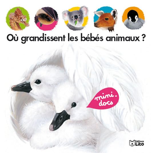 Où grandissent les bébés animaux ? 9782244363011