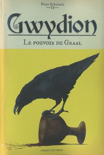 Le pouvoir du Graal 9782747026574