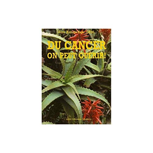 Du cancer on peut guérir du Père Romano Zago 3700644306724