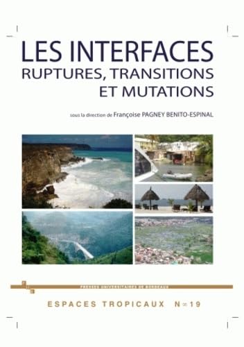 Les interfaces: Ruptures, transitions et mutations 9782867815287