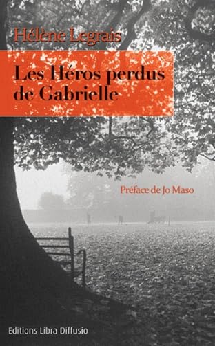 Les héros perdus de Gabrielle 9782844925305