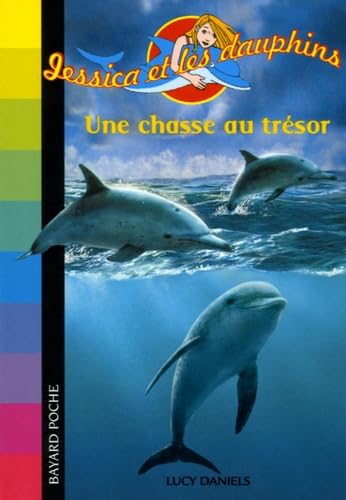 Une chasse au trésor 9782747018555