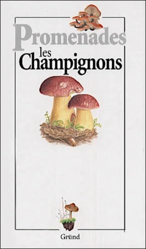 Les Champignons 9782700023374