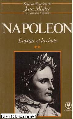 Napoleon, Tome 2 : l'apogée et la chûte 
