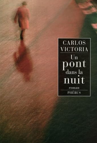 Un pont dans la nuit 9782752902313