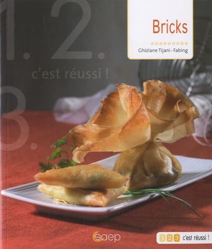 Bricks 9782737282553