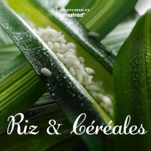 MASTRAD - Les Indispensables De Mastrad : Riz et Céréales 9782918992011