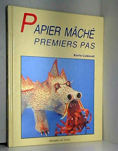 Papier mâché, premiers pas 9782249279324