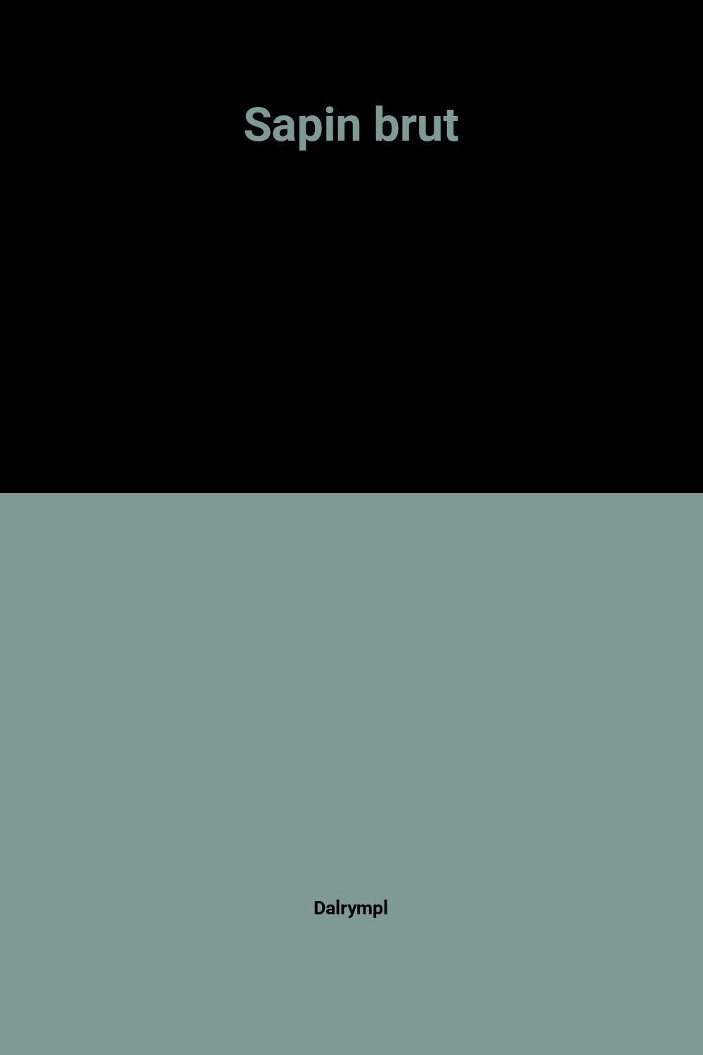 sapin brut 9782211074704