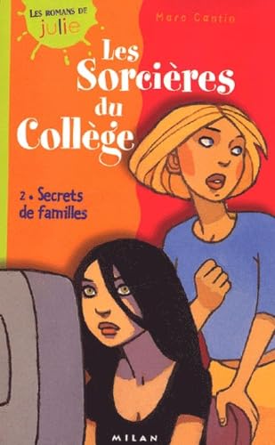 Secrets de familles 9782745904133
