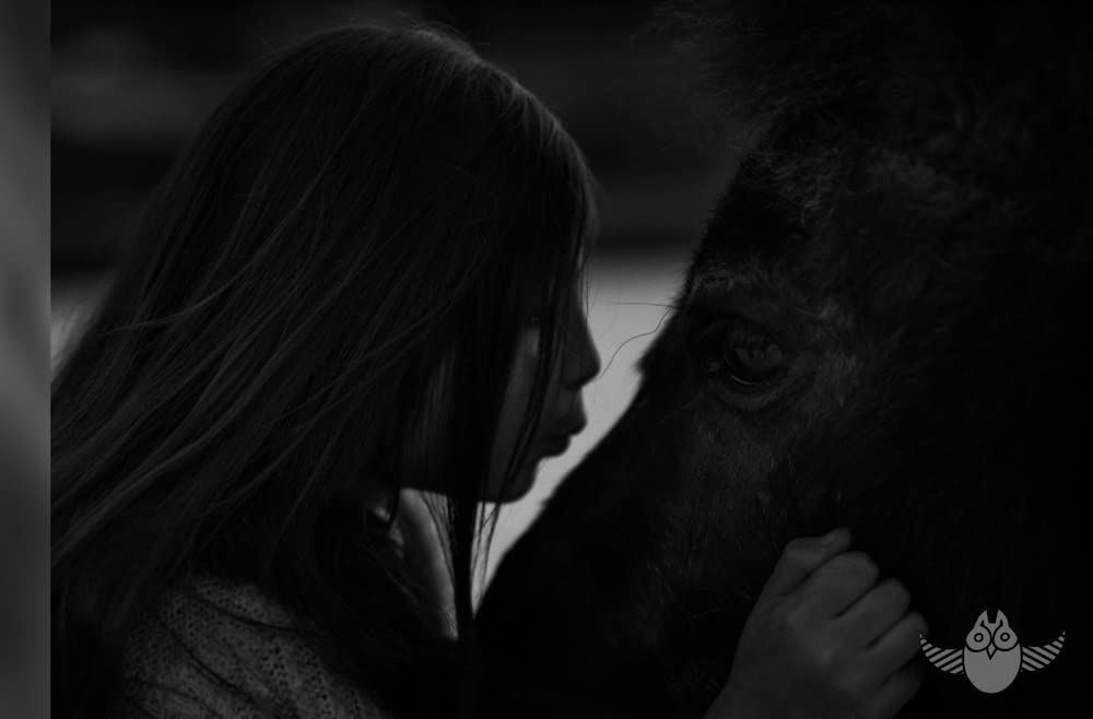 Centaures, quand nous étions enfants 9782889084241