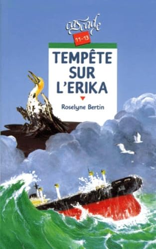 Tempête sur l'Erika 9782700226980