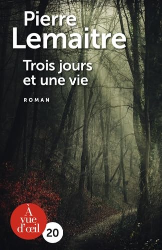 Trois jours et une vie 9791026903260