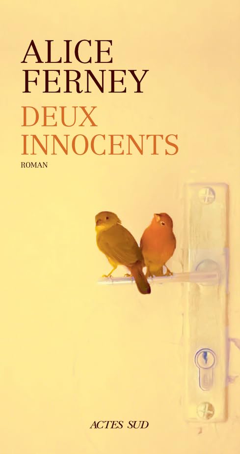 Deux innocents 9782330176235