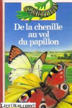 De la chenille au vol du papillon 9782070397648