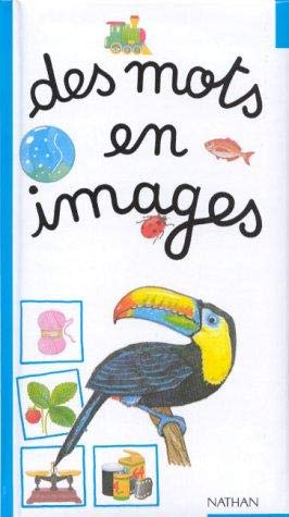 Des mots en images 9782092650042