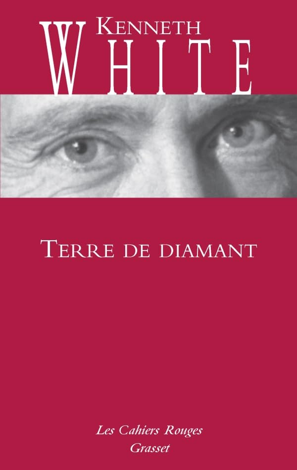 Terre de Diamant 9782246286523