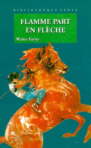 Flamme part en flèche 9782010138850
