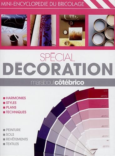 Spécial décoration 9782501054478