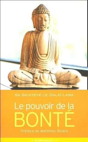 Le pouvoir de la bonté 9782501043274