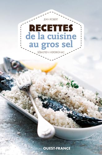 Recettes de la cuisine au gros sel 9782737371035
